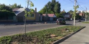 Городу нужны реальные деревья, а не бумажные - почему Саратов зеленый только в отчетах чиновников