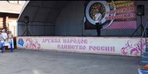 Депутат Госдумы инициировал проверку глав национальных диаспор в Саратовской области