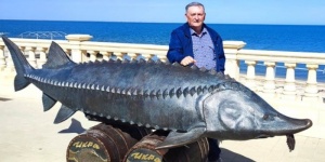 Не просто памятник. Зачем в Приморско-Ахтарске установили скульптуру гигантской белуги