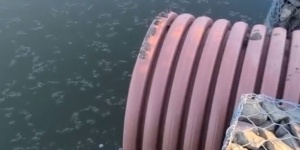 Без чистой воды