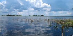 В Саратовской области скорректировали график сброса воды в Волгу